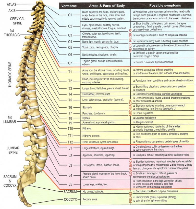 Why Choose Us | Optimal Spine Chiropractic